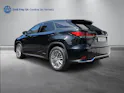 Lexus RX 450h Excellence