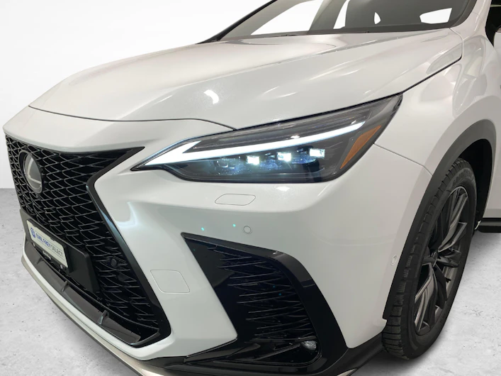 Fahrzeugbild LEXUS NX