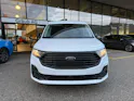 Ford Grand Transit Connect Kasten 1.5 EcoBoost PHEV Limited 0.99% Leasing