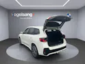 BMW iX1 xDrive 30 M Sport