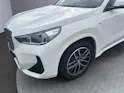 BMW iX1 xDrive 30 M Sport