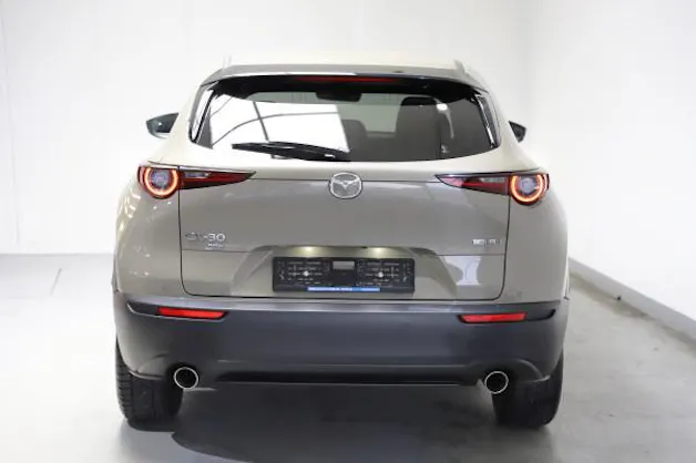 Mazda CX-30 X 186 Homura AWD AT