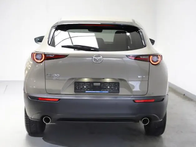 Mazda CX-30 X 186 Homura AWD AT