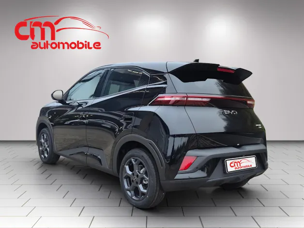 BYD Dolphin Surf 43 kWh Boost