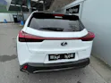 Lexus UX 300h F-Line