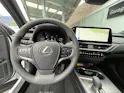 Lexus UX 300h F-Line