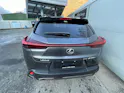 Lexus UX 300h F-Line