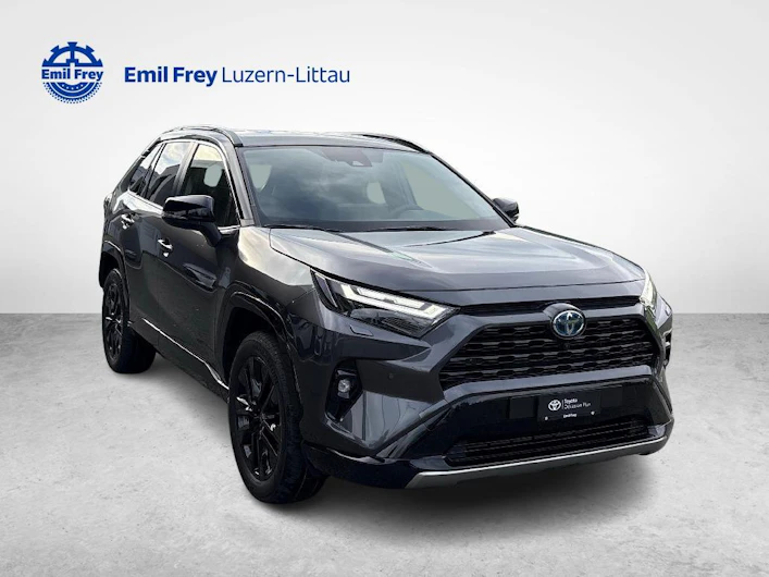 Fahrzeugbild TOYOTA RAV-4