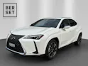 Lexus UX 300h Excellence