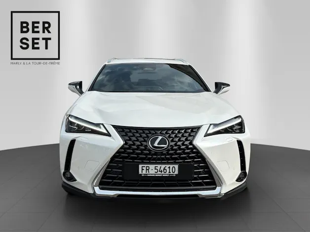 Lexus UX 300h Excellence