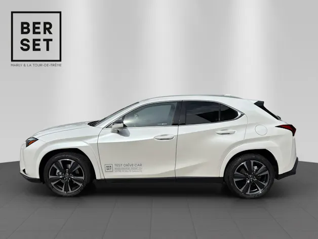 Lexus UX 300h Excellence