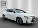Lexus UX 300h Excellence