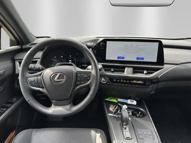 Lexus UX 300h Excellence