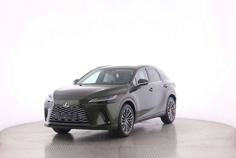 Fahrzeugbild LEXUS RX