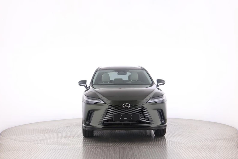 Fahrzeugbild LEXUS RX