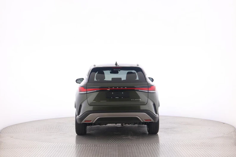 Fahrzeugbild LEXUS RX