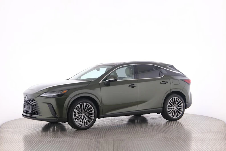 Fahrzeugbild LEXUS RX