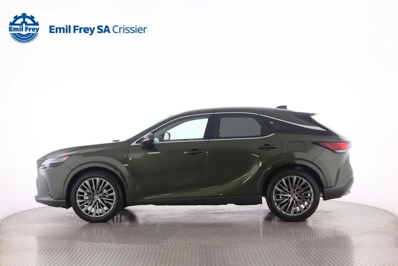Fahrzeugbild LEXUS RX