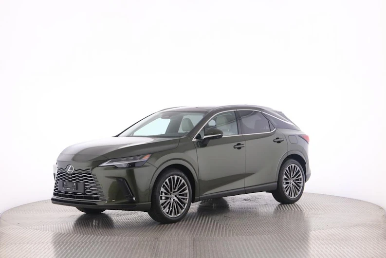 Fahrzeugbild LEXUS RX
