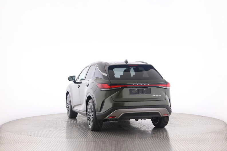 Fahrzeugbild LEXUS RX