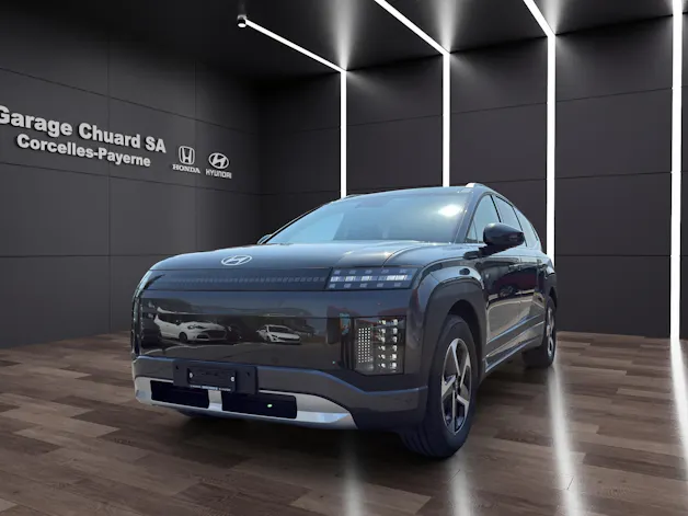 Hyundai IONIQ9 110kWh Amplia 4WD