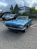 Ford Thunderbird