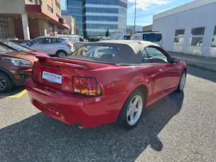 Ford Mustang Cobra Cabrio