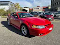 Ford Mustang Cobra Cabrio