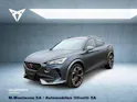 Cupra Formentor 2.0TSI VZ 4Drive DSG