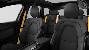 Volvo XC60 2.0 T8 TE Polestar eAWD