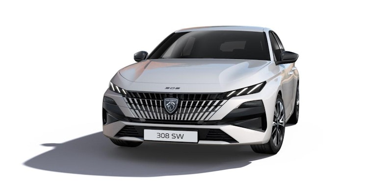 immagine del veicolo PEUGEOT 308