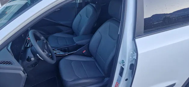 Kia Niro EV Style