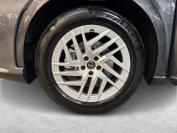 Fahrzeugbild LEXUS RX