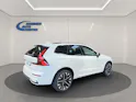 Volvo XC60 2.0 T6 TE Ultra Dark eAWD