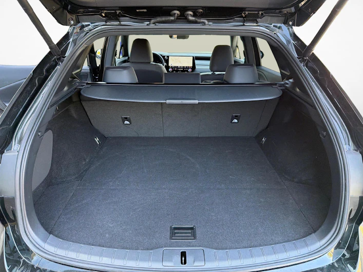 Fahrzeugbild LEXUS RX