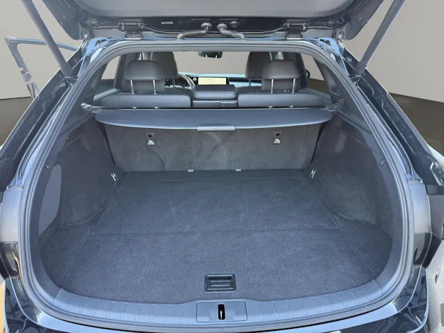 Lexus RX 350h F-Line