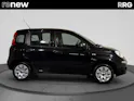 Fiat Panda 1.2 Cool