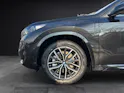 BMW X1 30e xDrive paddles