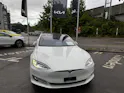 Tesla Model S 100 Performance D