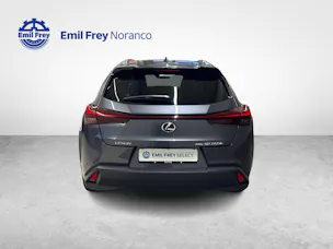 Lexus UX 250h Excellence + Ruote invernali