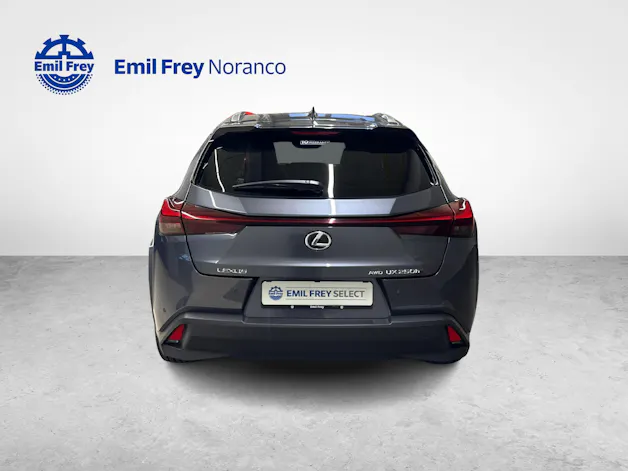 Lexus UX 250h Excellence + Ruote invernali