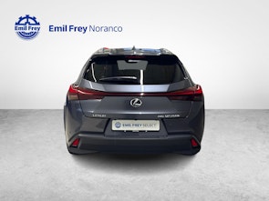 Vehicle image LEXUS UX 250h Excellence + Ruote invernali