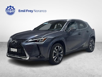 immagine del veicolo LEXUS UX 250h Excellence + Ruote invernali