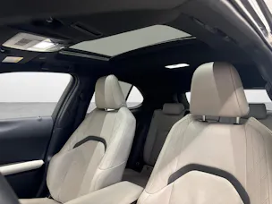Lexus UX 250h Excellence + Ruote invernali