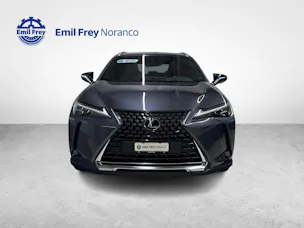 Lexus UX 250h Excellence + Ruote invernali