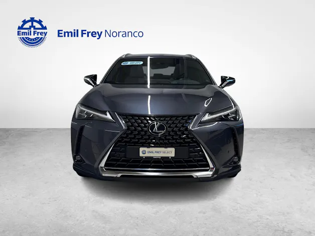 Lexus UX 250h Excellence + Ruote invernali