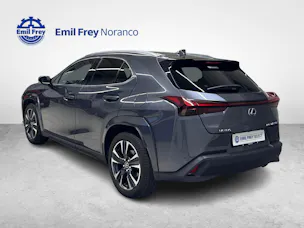Lexus UX 250h Excellence + Ruote invernali