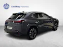 Lexus UX 250h Excellence + Ruote invernali