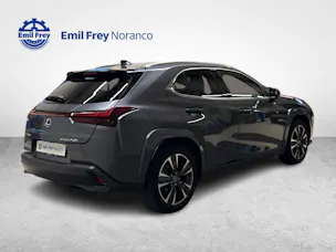 Lexus UX 250h Excellence + Ruote invernali