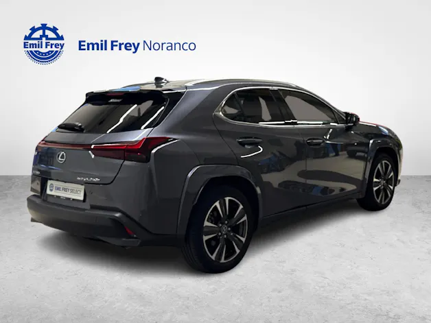 Lexus UX 250h Excellence + Ruote invernali